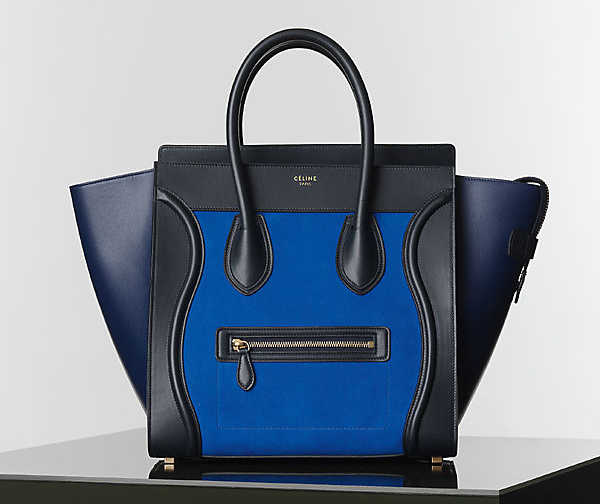 Celine Winter 2014 Handbags 18