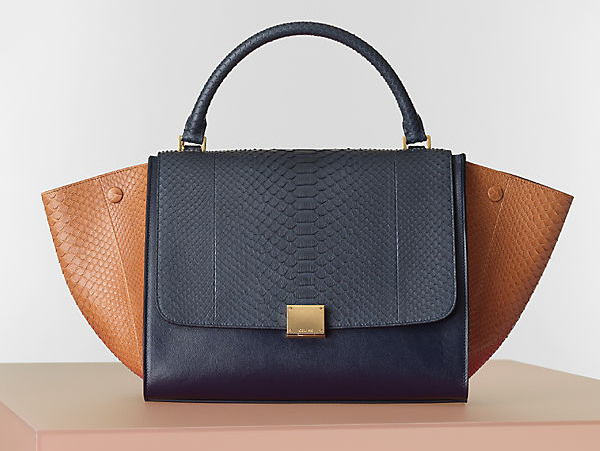 Celine Winter 2014 Handbags 28