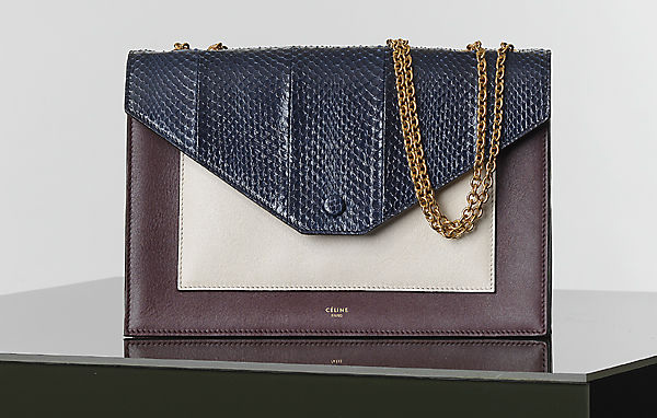 Celine Winter 2014 Handbags 30
