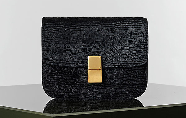 Celine Winter 2014 Handbags 9