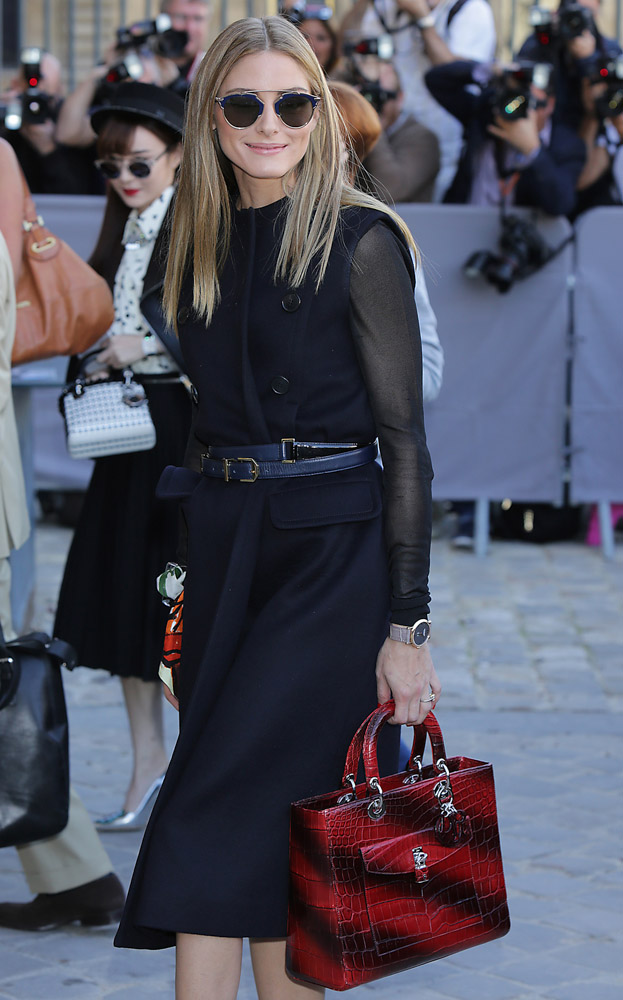 Dior hotsell alligator bag