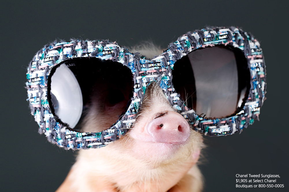 Chanel Tweed Sunglasses