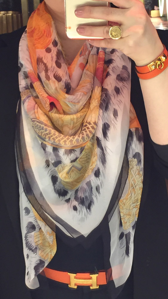 Hermes Scarf and Accessories