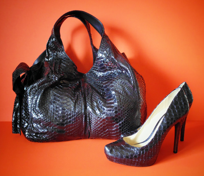 Valentino Python Bag and Shoes