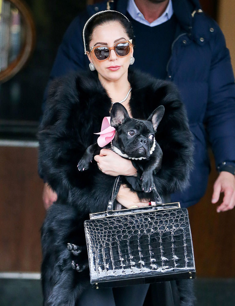 Lady-Gaga-Vintage-Bag