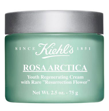 Kiehl's-Rose-Arctica-Face-Cream