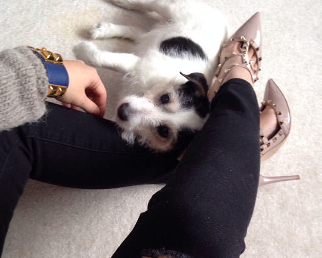 Hermes-CDC-Valentino-Rockstuds-and-Pup