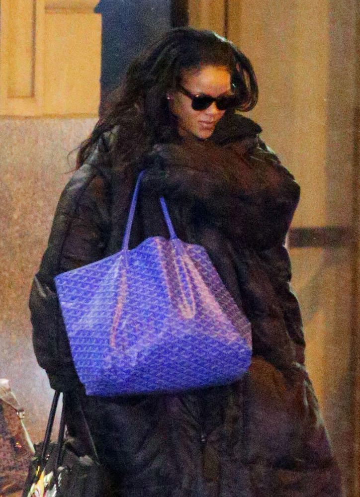 The Many Bags of Rihanna Part 3-31