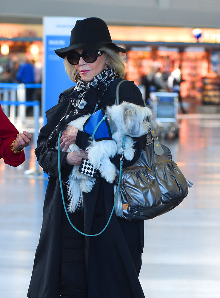 Jane-Fonda-MZ-Wallace-Jane-Satchel