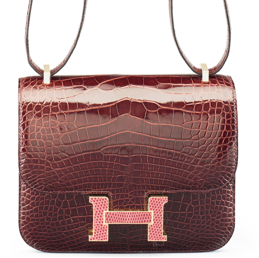 Hermes-Constance-in-Alligator-and-Leopard