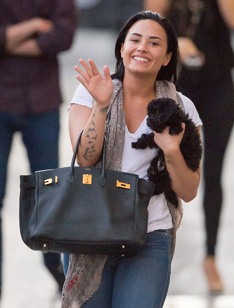 Demi-Lovato-Hermes-Birkin