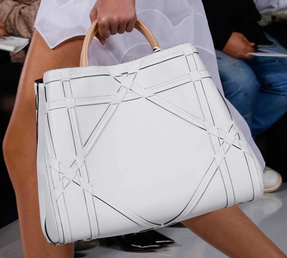 Christian-Dior-Spring-2016-Bag-2