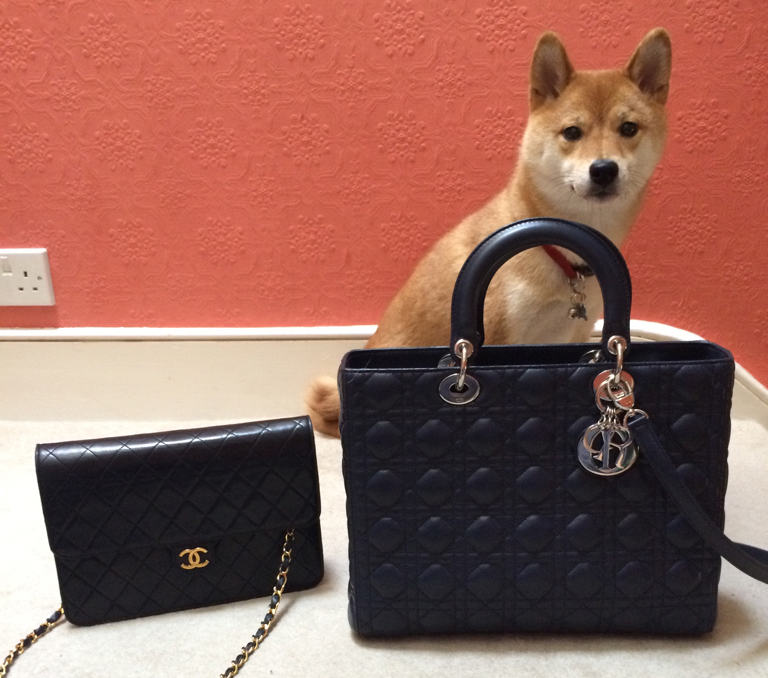 Dog-with-Chanel-and-Dior-Bags