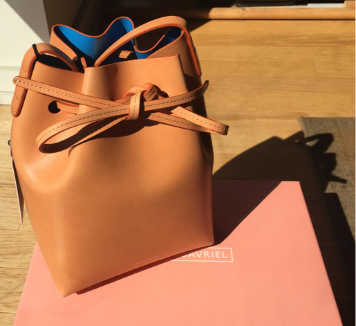 Mansur-Gavriel-Mini-Mini-Bucket-Bag