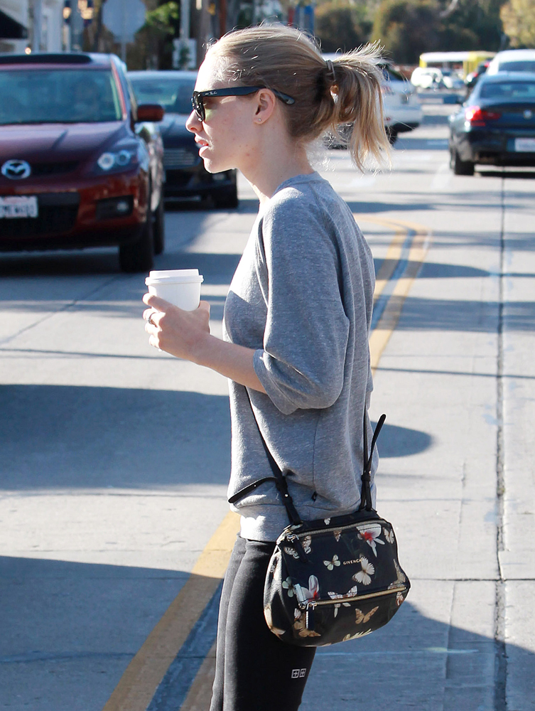 Amanda-Seyfried-Givenchy-Magnolia-Mini-Pandora-Bag