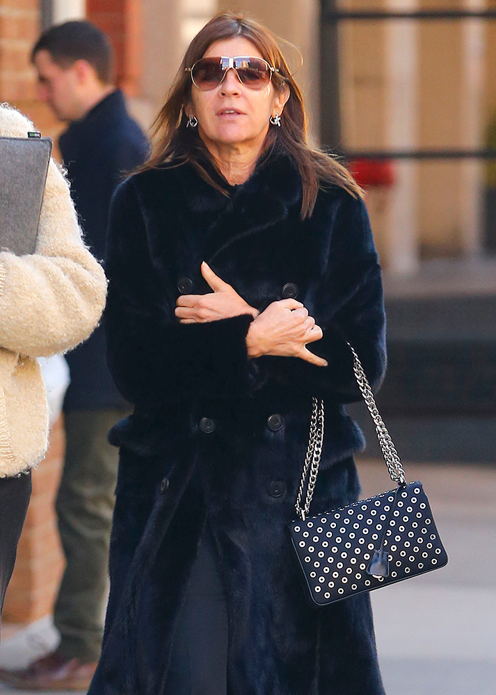 Carine-Roitfeld-Grommet-Shoulder-Bag