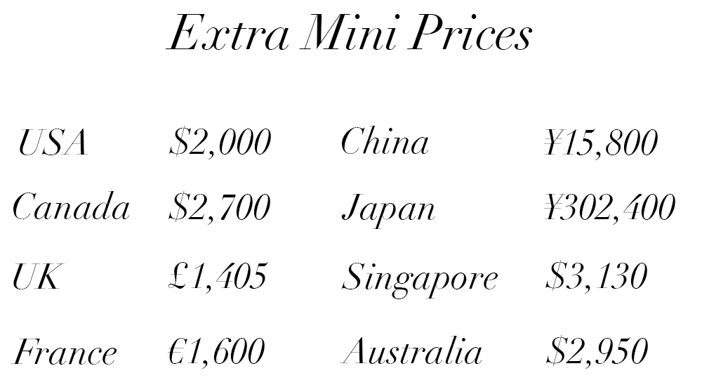 chanel mini price