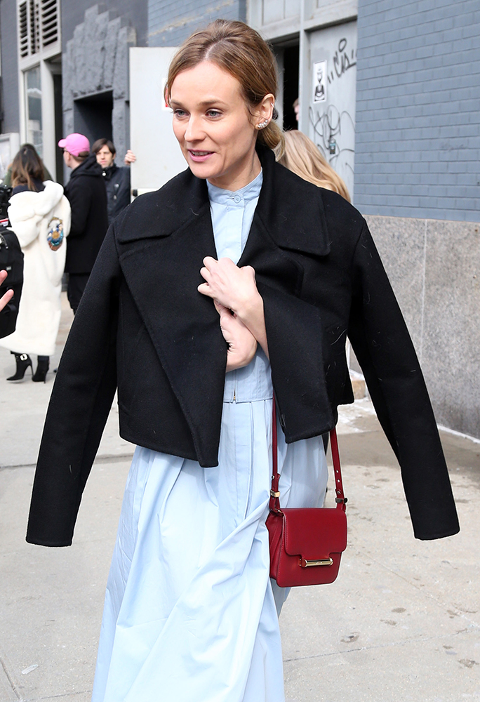 Diane-Kruger-Jason-Wu-Diane-Shoulder-Bag