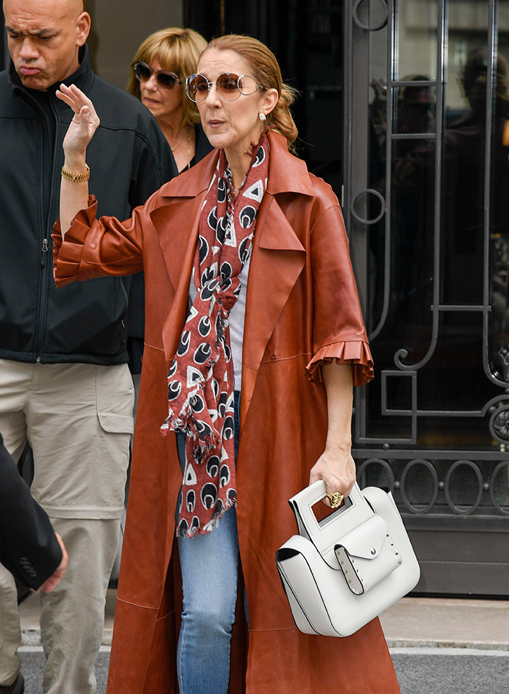 Celine-Dion-Celine-Medium-Square-Bag