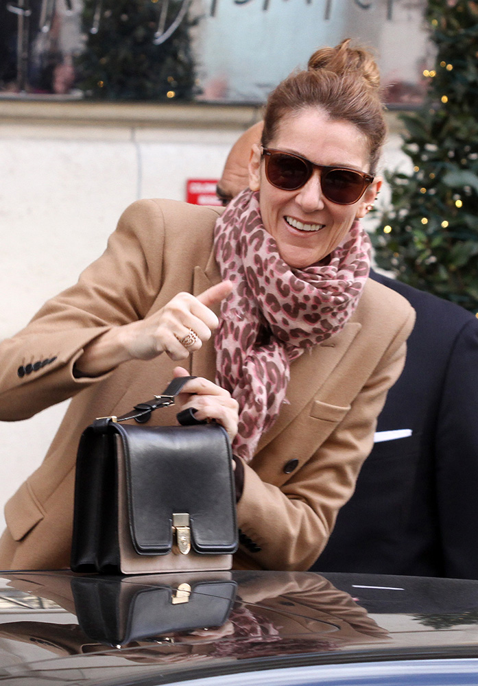 Celine-Dion-Victoria-Beckham-Shoulder-Bag