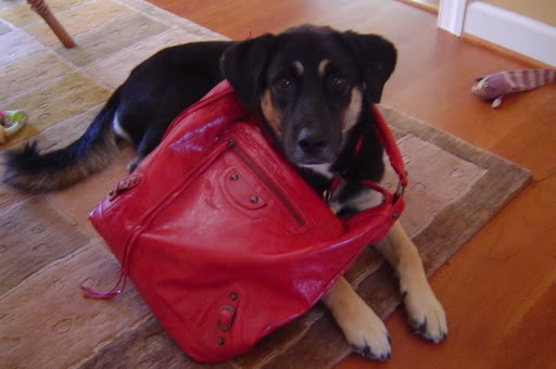 tPF MemberL Tabbyco Bag: Balenciaga Rouge VIF Courier Bag Shop: Similar styles via Balenciaga