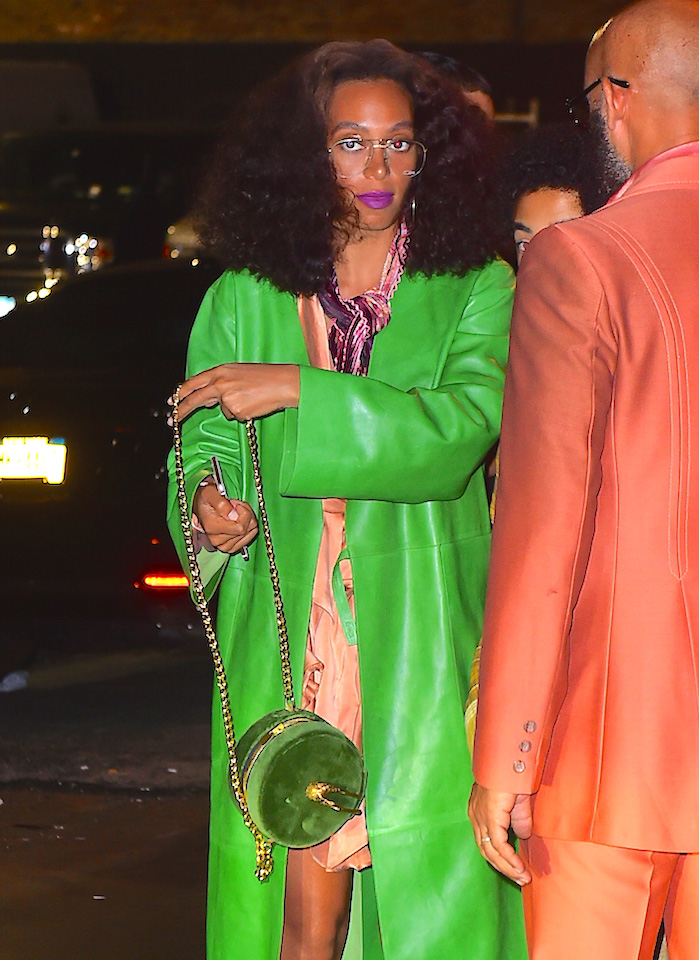 Solange-Knowles-Velvet-Bag