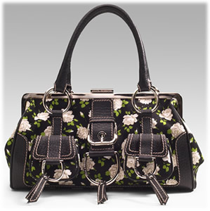 Dolce and Gabbana Floral Frame Bag