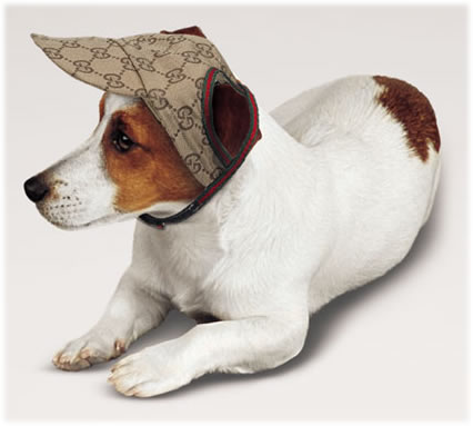 Gucci_Pet_Baseball_Cap.jpg