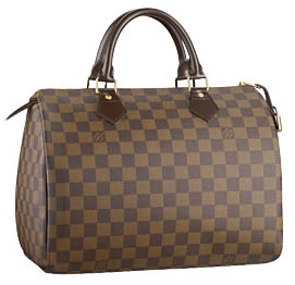 Louis Vuitton Damier Canvas Speedy