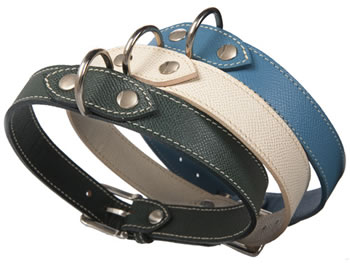 Palmellato Dog Collar