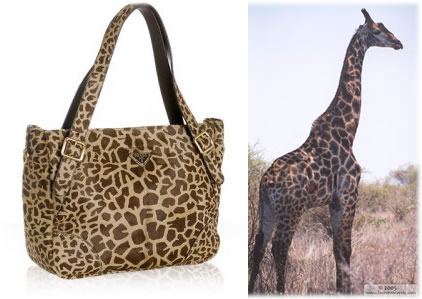 Prada Giraffe Pony Hair Medium Tote