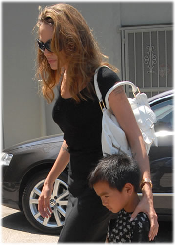 angelina jolie botkier bag3