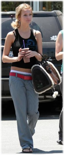 Ashlee Simpson UGG Dog Carrier