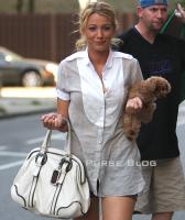 blake lively d and g bag