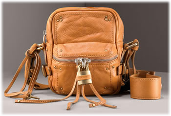 Chloe Paddington Camera Bag
