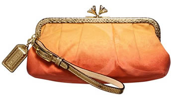  Framed Clutch