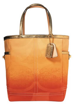 Coach Ombre Signature Large Tote Bag
