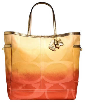 Coach Ombre Weekend Tote