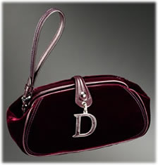 Dior Detective Wrist Clutch