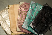 Devi Kroell Pochette