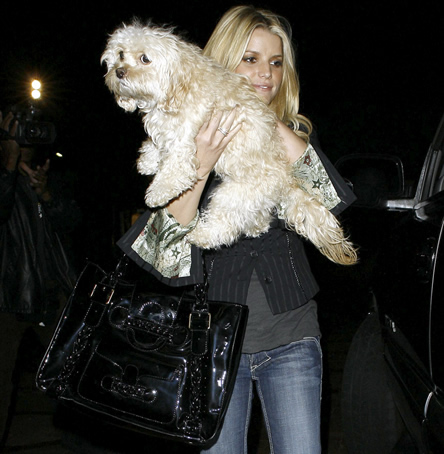 jessica simpson valentino histoire bag