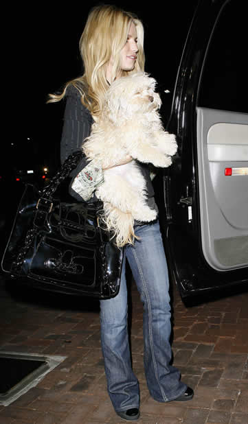 jessica simpson valentino histoire bag1