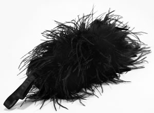 Kate spade shop feather bag
