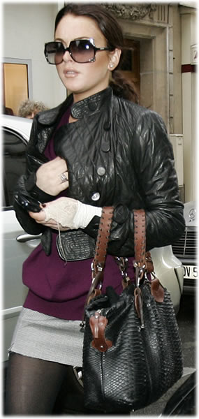 Lindsay Lohan Python Handbag