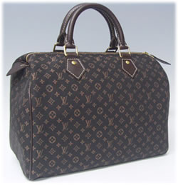 Louis Vuitton Mini Monogram Lin Speedy 30