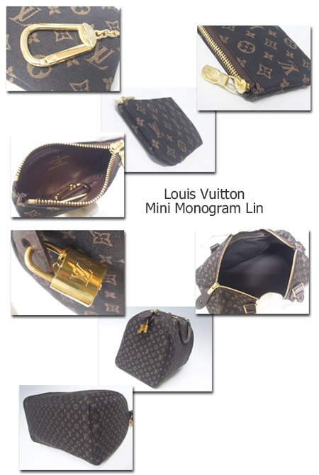Louis Vuitton Mini Monogram Lin