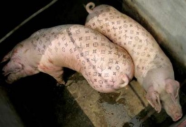 Louis Vuitton Tattooed Pigs