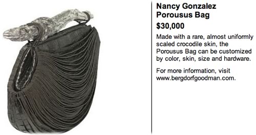 Nancy Gonzalez Porousus Bag