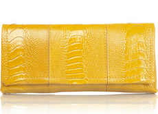 vbh ostrich clutch