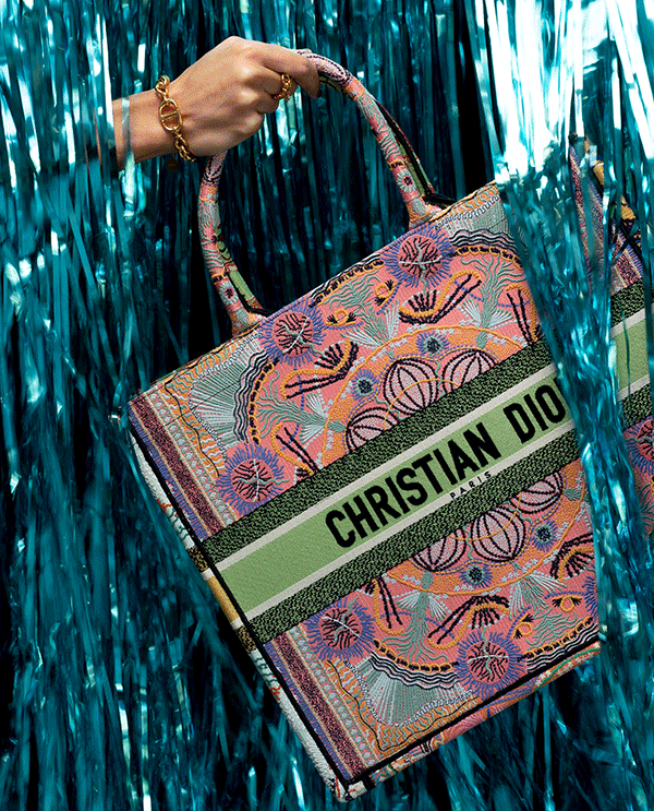 dior astrological handbag